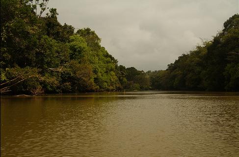 Kuruva Island – A Hidden River Paradise